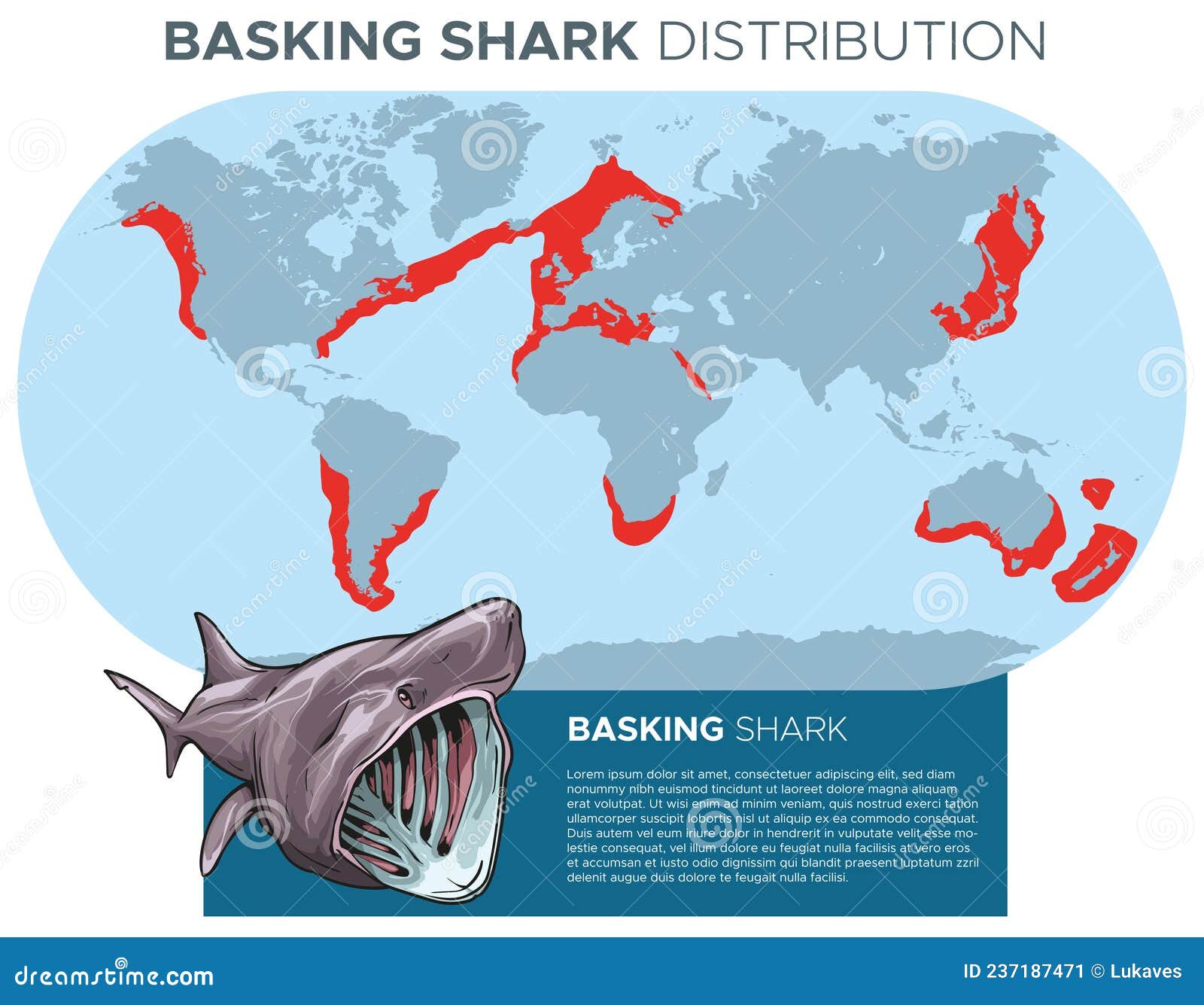 Basking shark