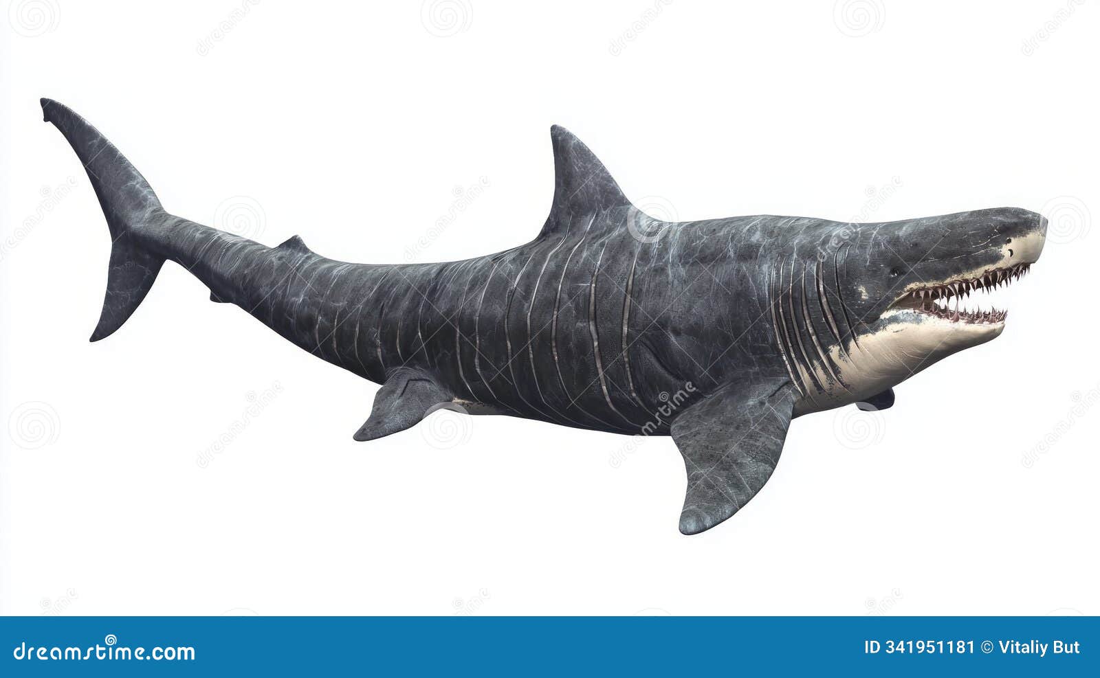 basking shark glides through the water showcasing its impressive size and distinctive appearance with sharp teeth