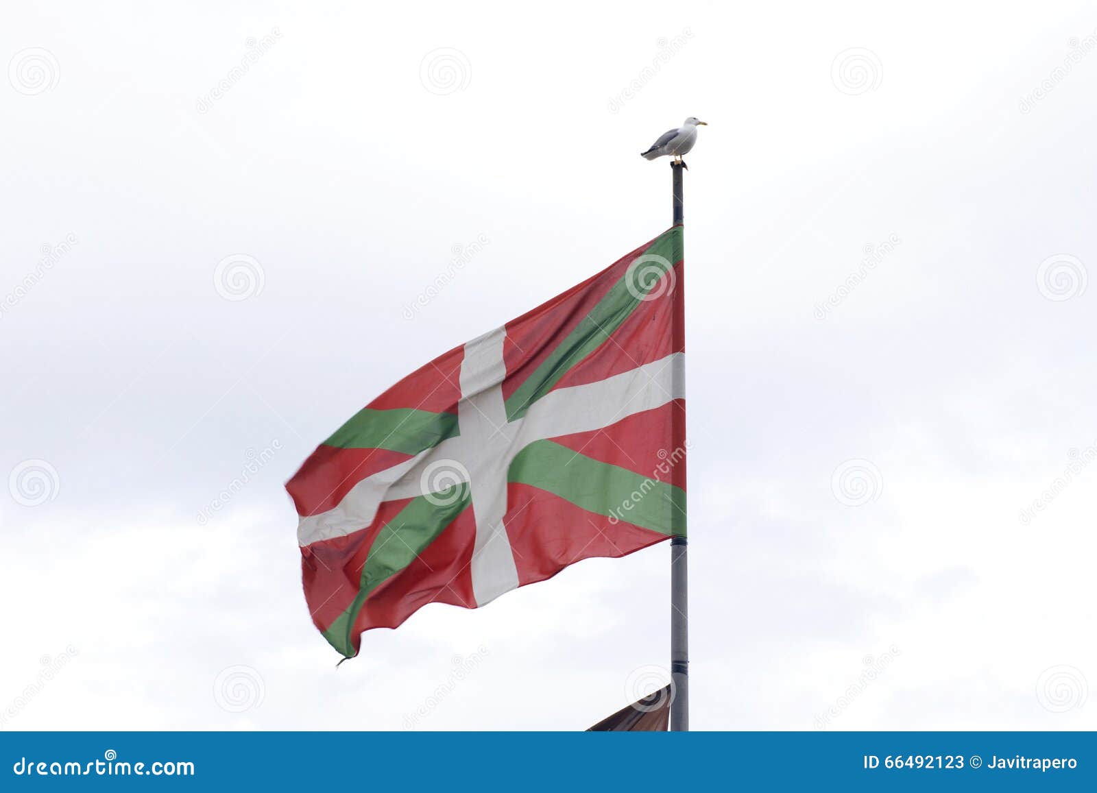 Basque Country Flag, with a Sea Gull on the Pole. Stock Image Image