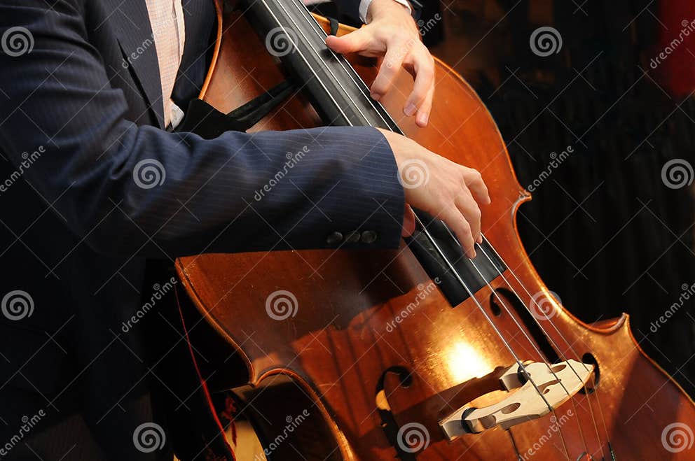 The bass stock photo. Image of tone, acoustic, chamber 22153318