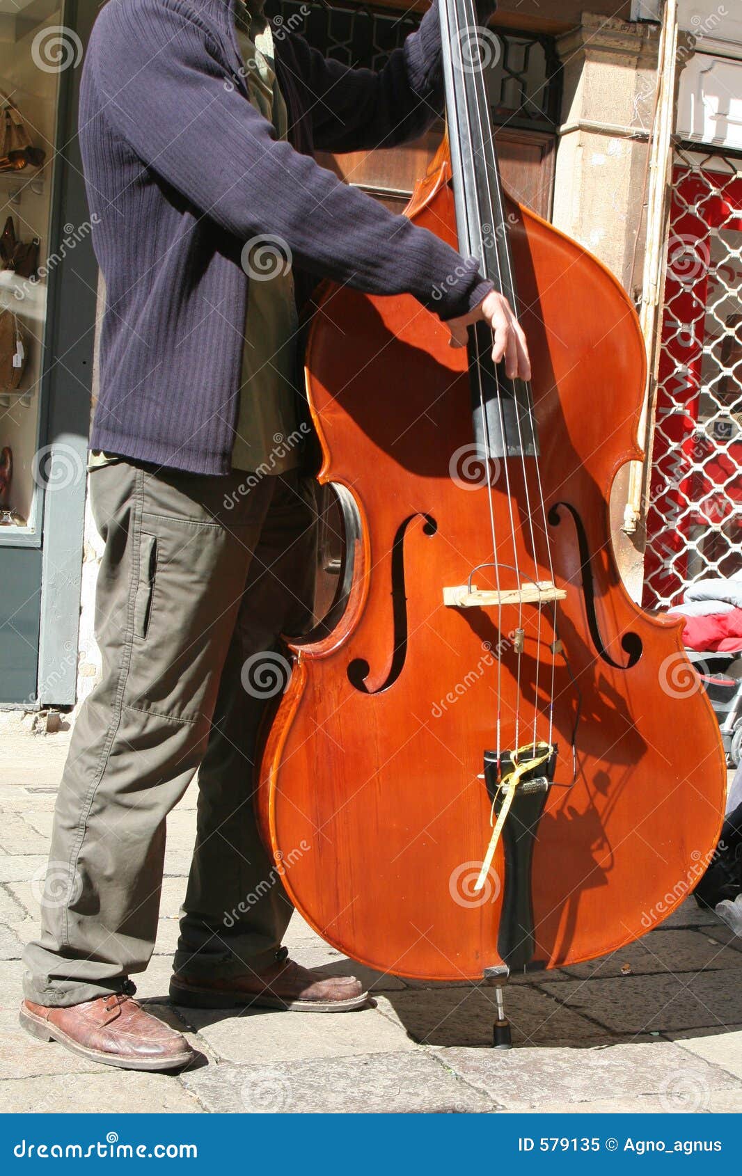 Bass. Basista Wenecji