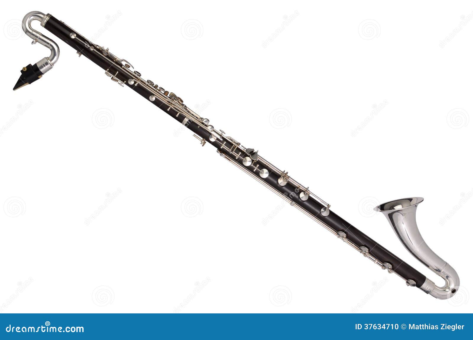 Bass on White Background Stock Photo Image of woodwind