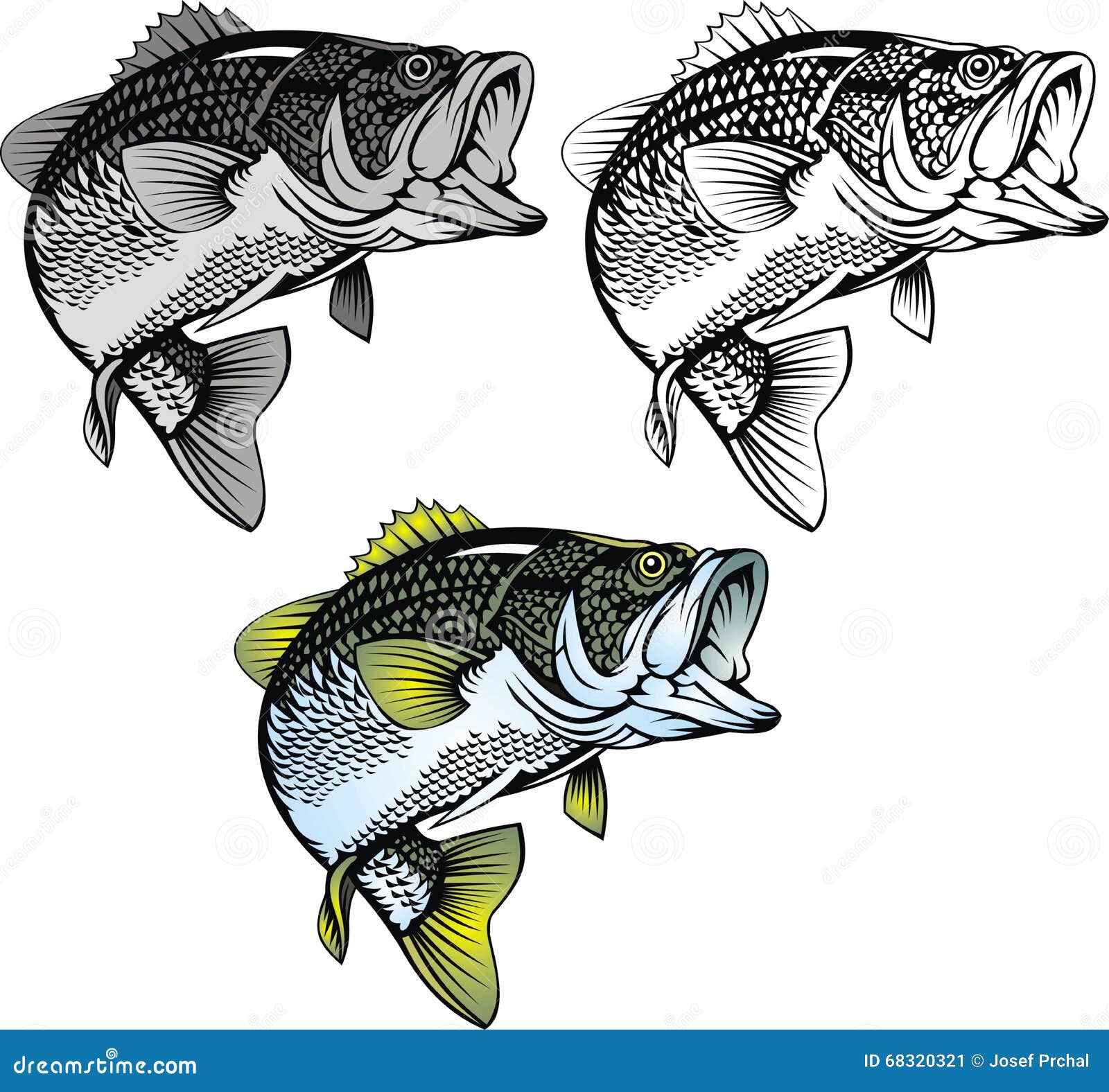 Bass Fish Isolated Stock Illustrations – 6,066 Bass Fish Isolated Stock  Illustrations, Vectors & Clipart - Dreamstime