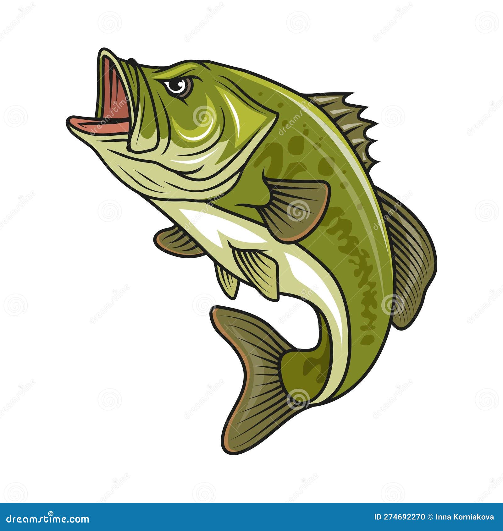 Bass Fish. Vector Illustration Of Largemouth Perch Fish Isolated On ...