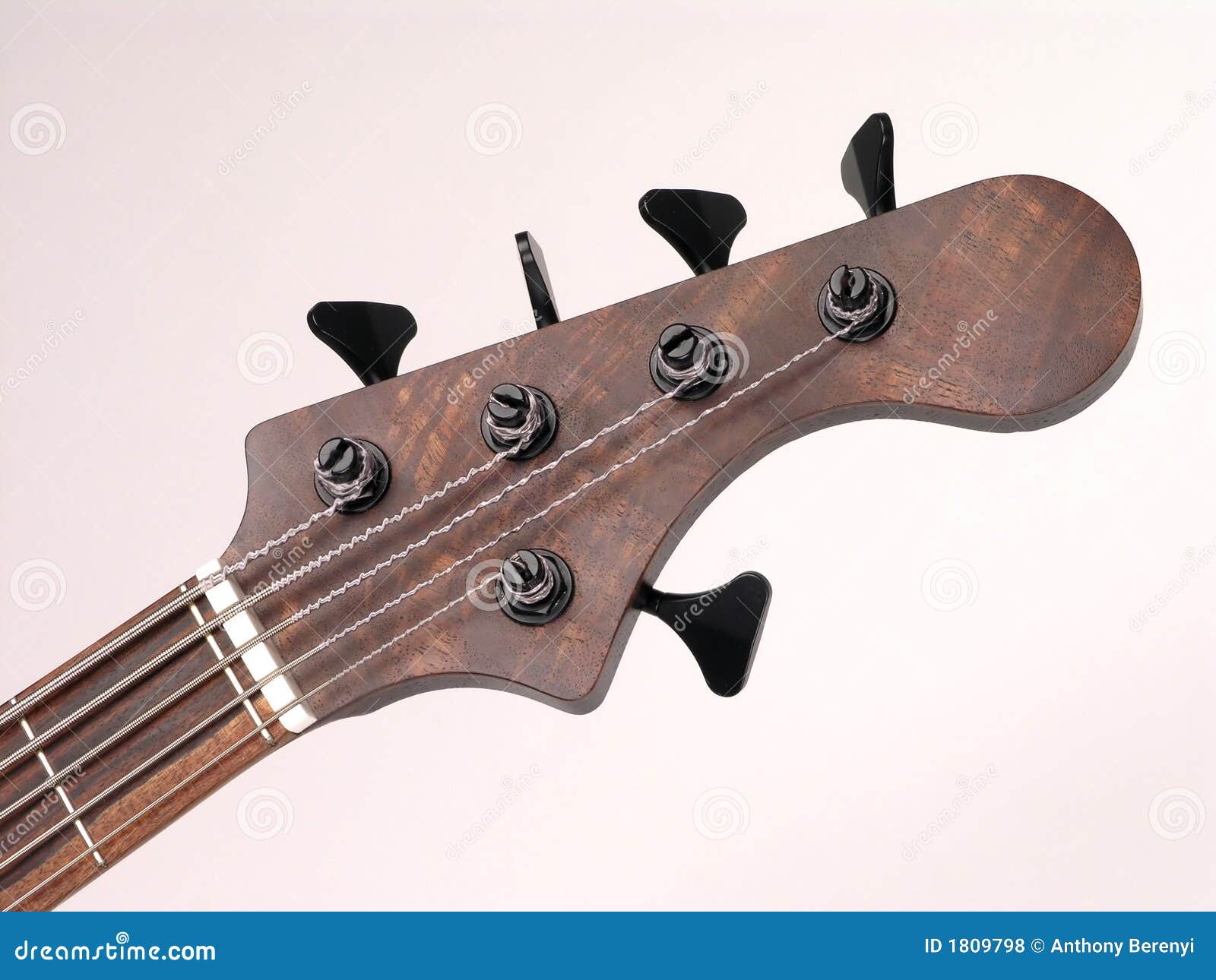 Bass Guitar headstock stock photo. Image of instrument - 1809798