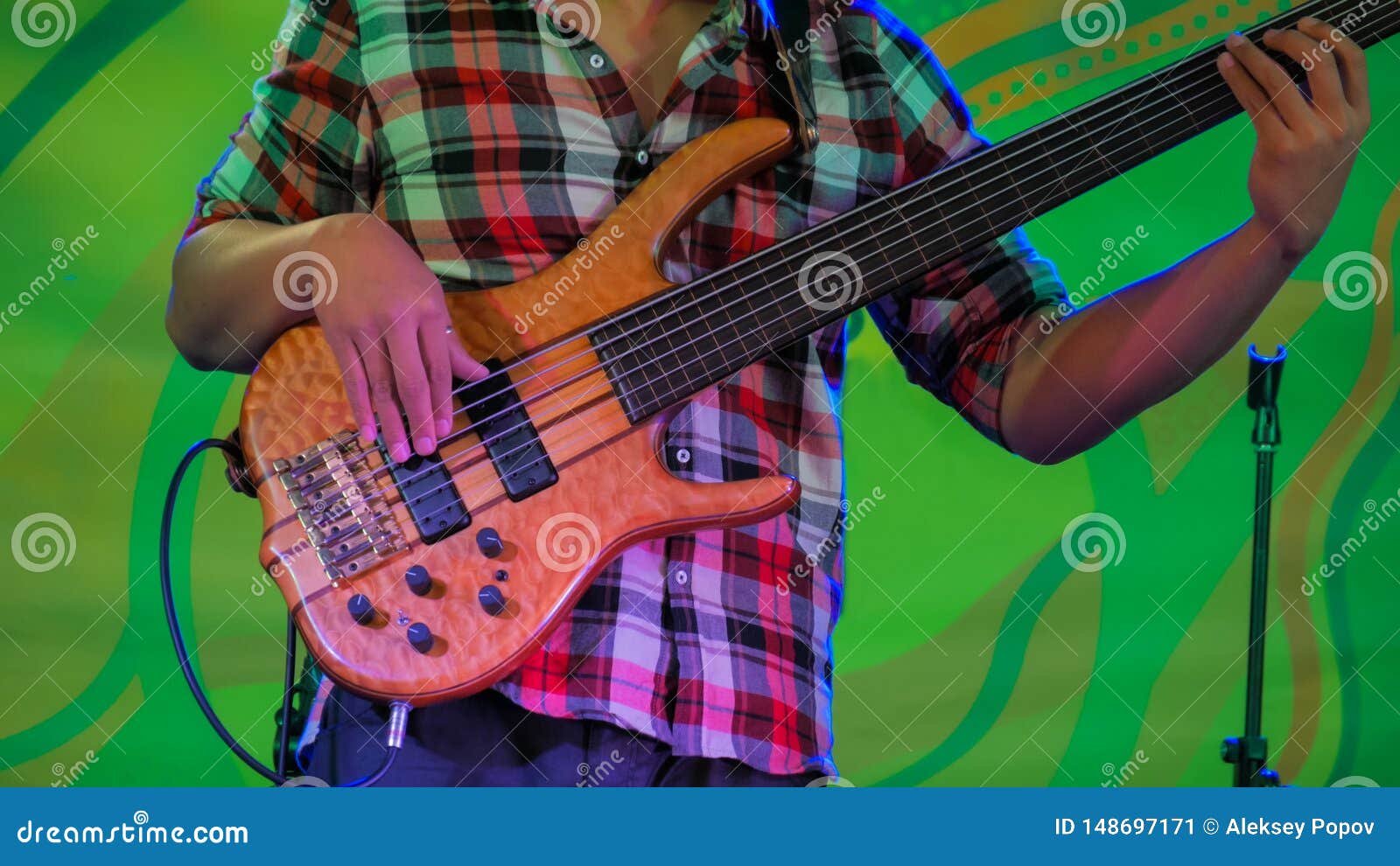 stage plot images bass player