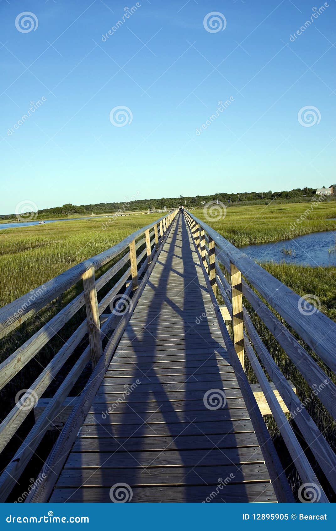 Bass Hole Boardwalk stock image. Image of cape, clear 12895905