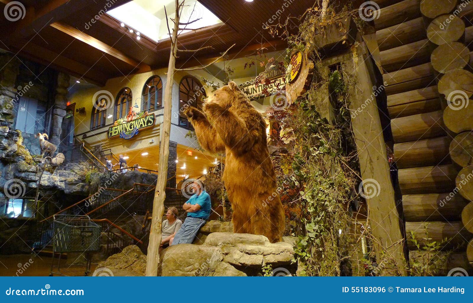 Bass Pro Shops, Springfield, Missouri Bear in Entry Editorial Photo - Image  of commercial, home: 55183096