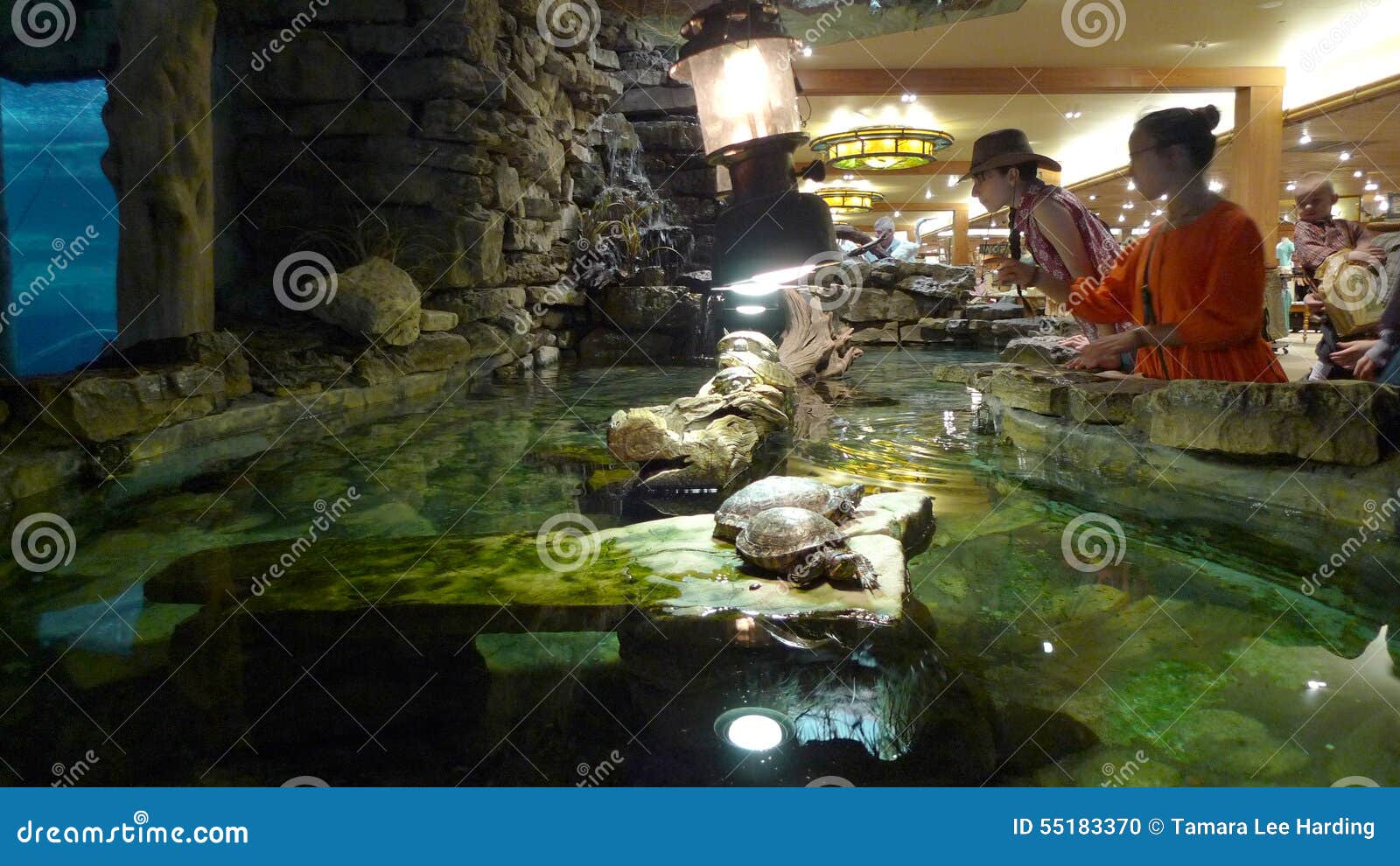 Bass Pro Shops, Springfield, MO Turtle Display Editorial Image