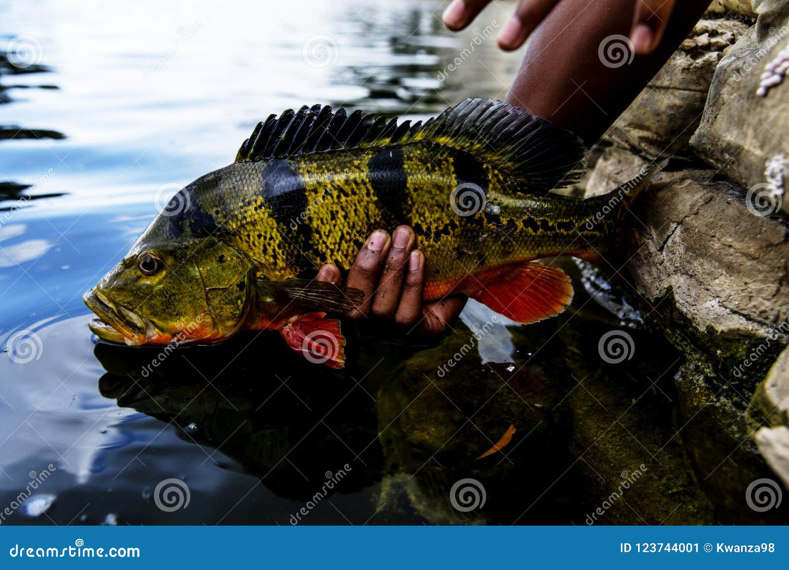 Pawi's pêche