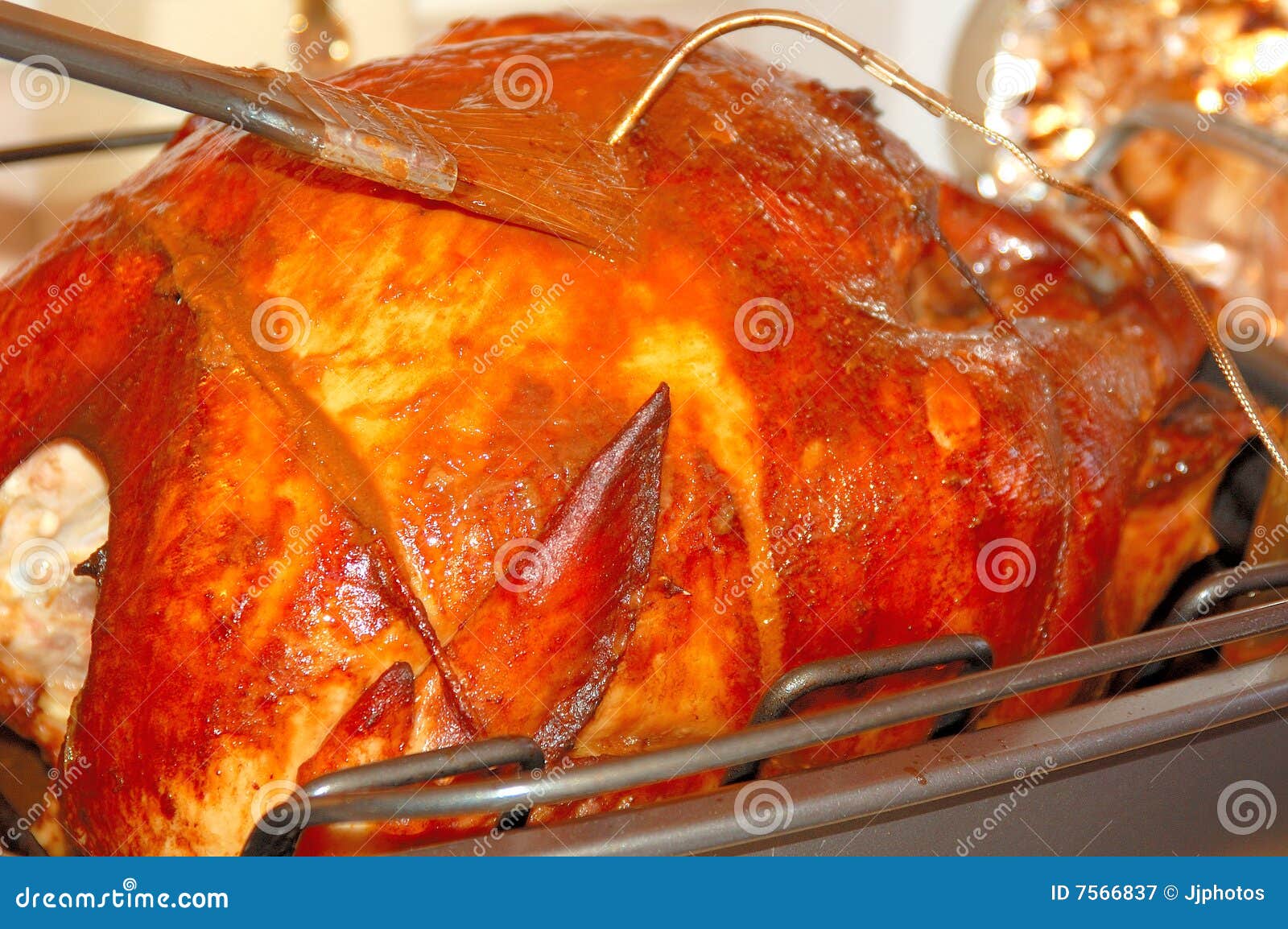 Basting Turkey 2 stock image. Image of gravy, oven, squeeze 7566837