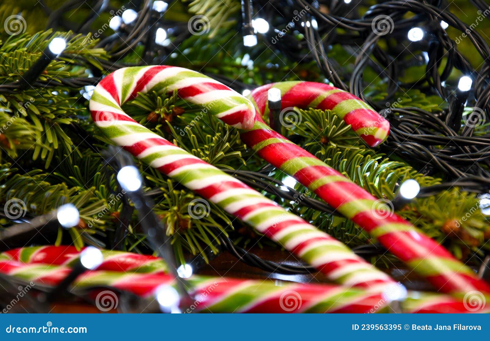 Bastoncino Di Zucchero Filato Con Ramoscello Di Zucchero E Di Garland Di  Natale Chiaro Immagine Stock - Immagine di filiale, caramella: 239563395