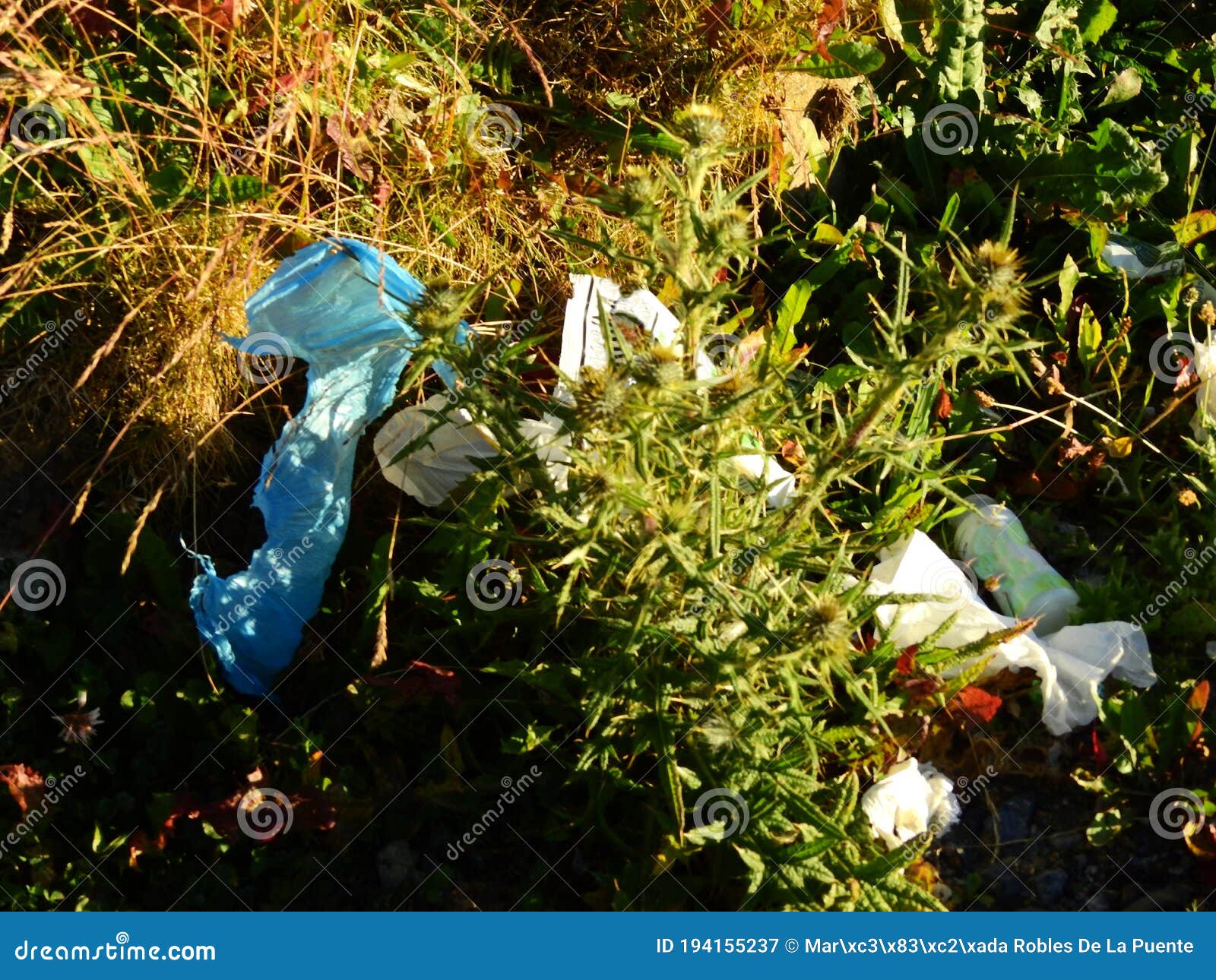 basura y plasticos en la naturaleza