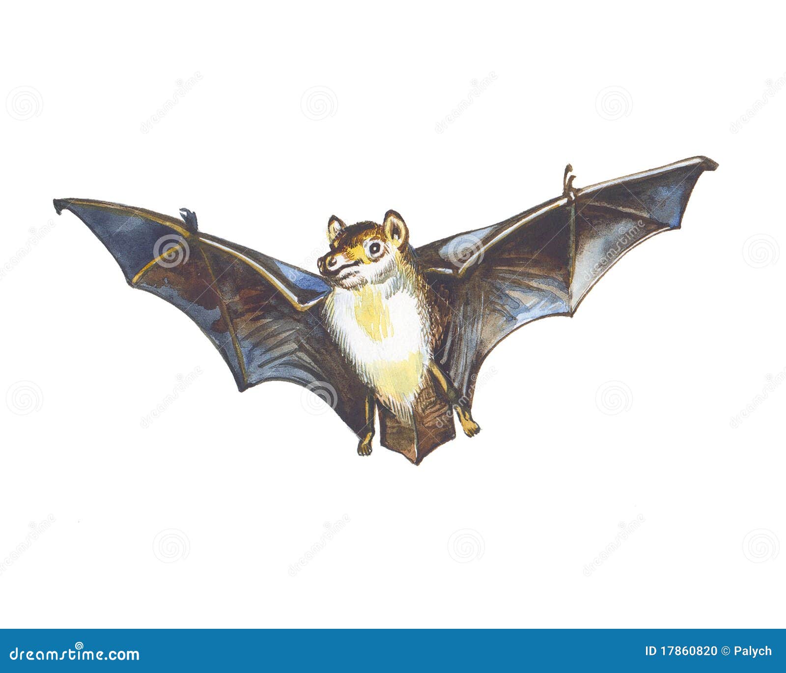 bat