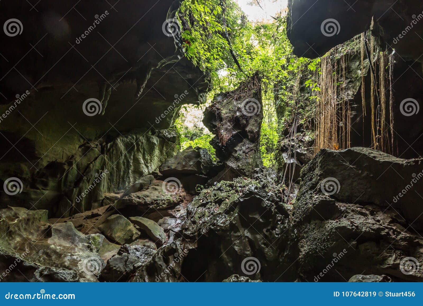 bat cave, a limestone cave near bukit lawang in gunung leuser national park, sumatra, indonesia.
