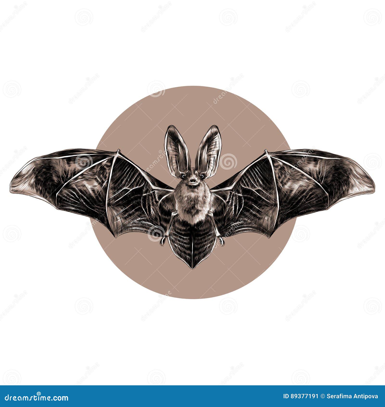 Bat sketch vector graphics stock vector. Illustration of design 89377191