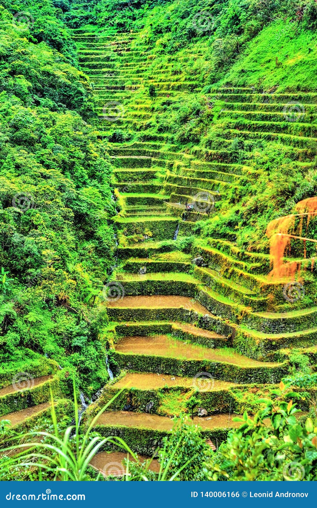 Batad Rice Terraces, UNESCO World Heritage in the Philippines Stock