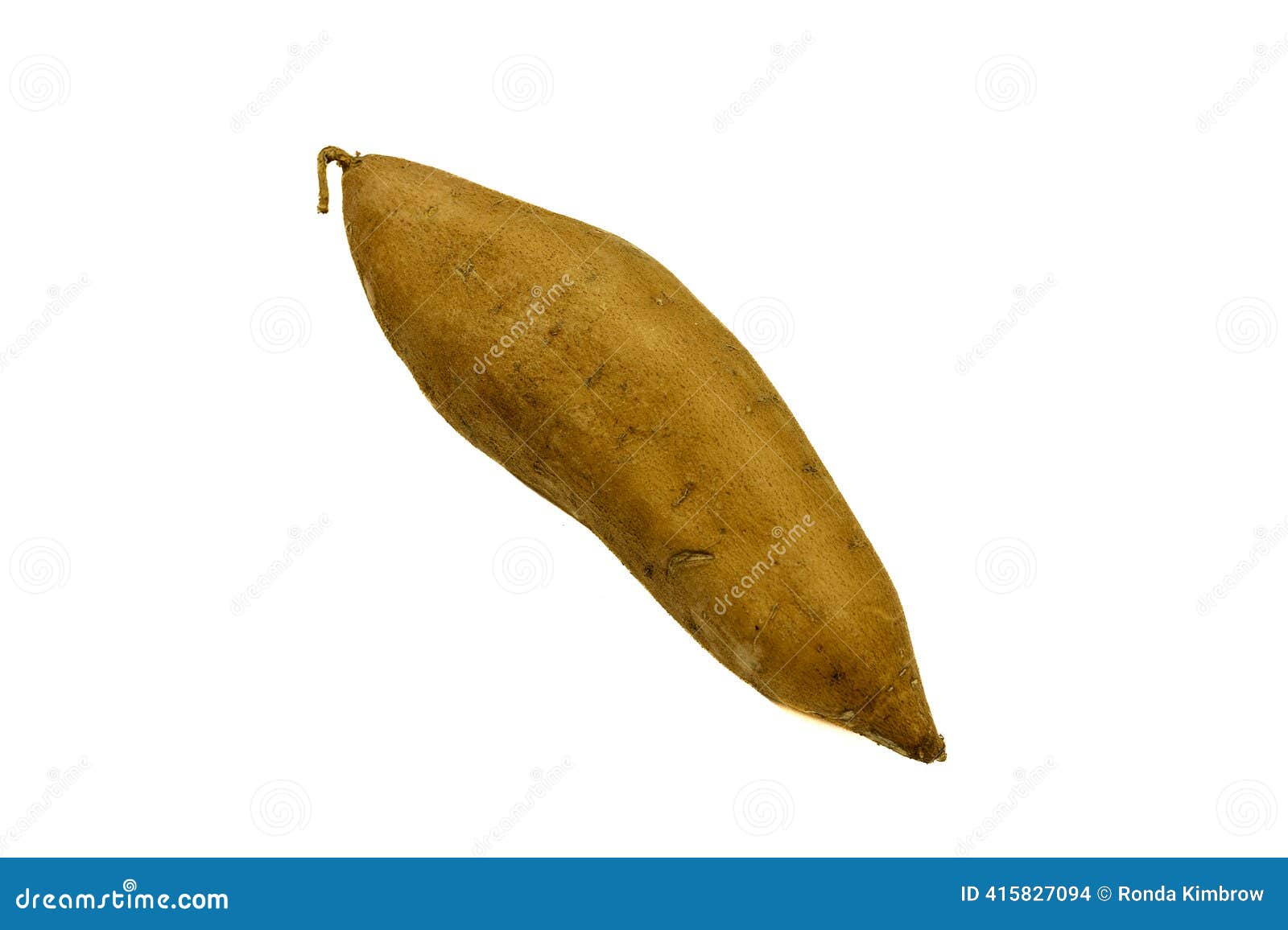 Batata-doce pode ser cultivada como planta ornamental; veja inovações na  produção da raiz, image size:1600x1156