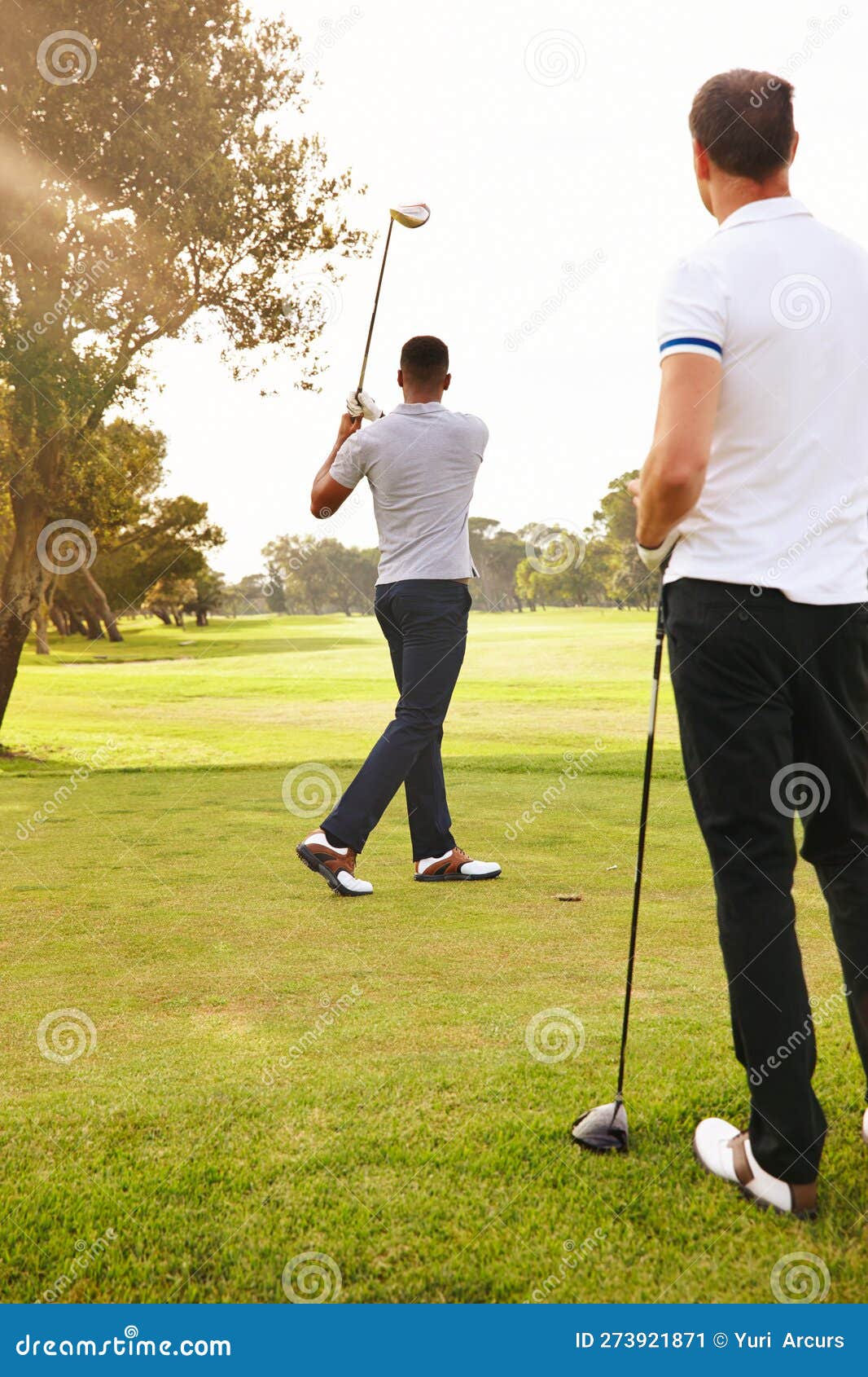 Bater No Carro Dos Sonhos. Tiro Na Retaguarda De Dois Homens Jogando Um Jogo  De Golfe. Imagem de Stock - Imagem de dirigir, homens: 273921871