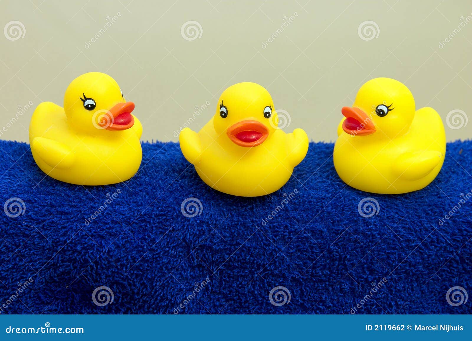 Bath ducks stock photo. Image of laughter, clean, child 2119662