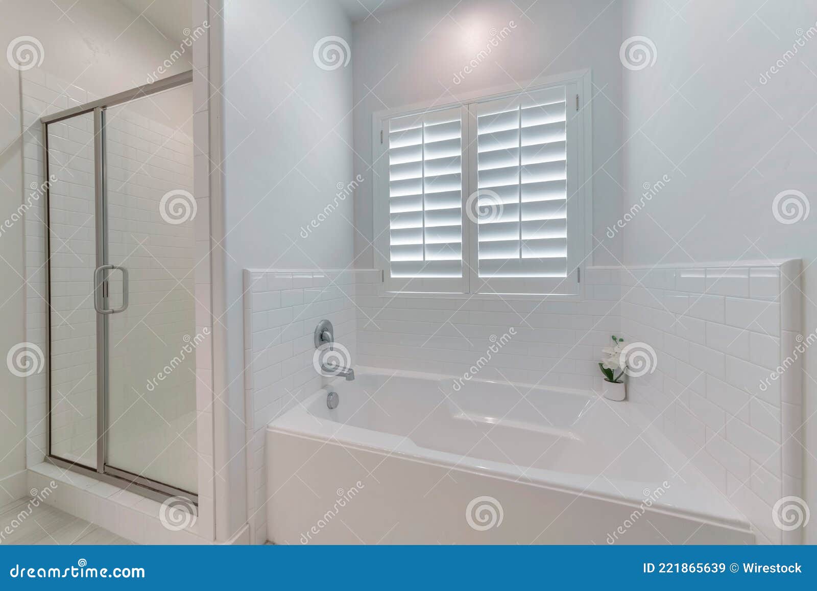 Bath and a Shower Cubicle in a Bathroom Stock Image Image of
