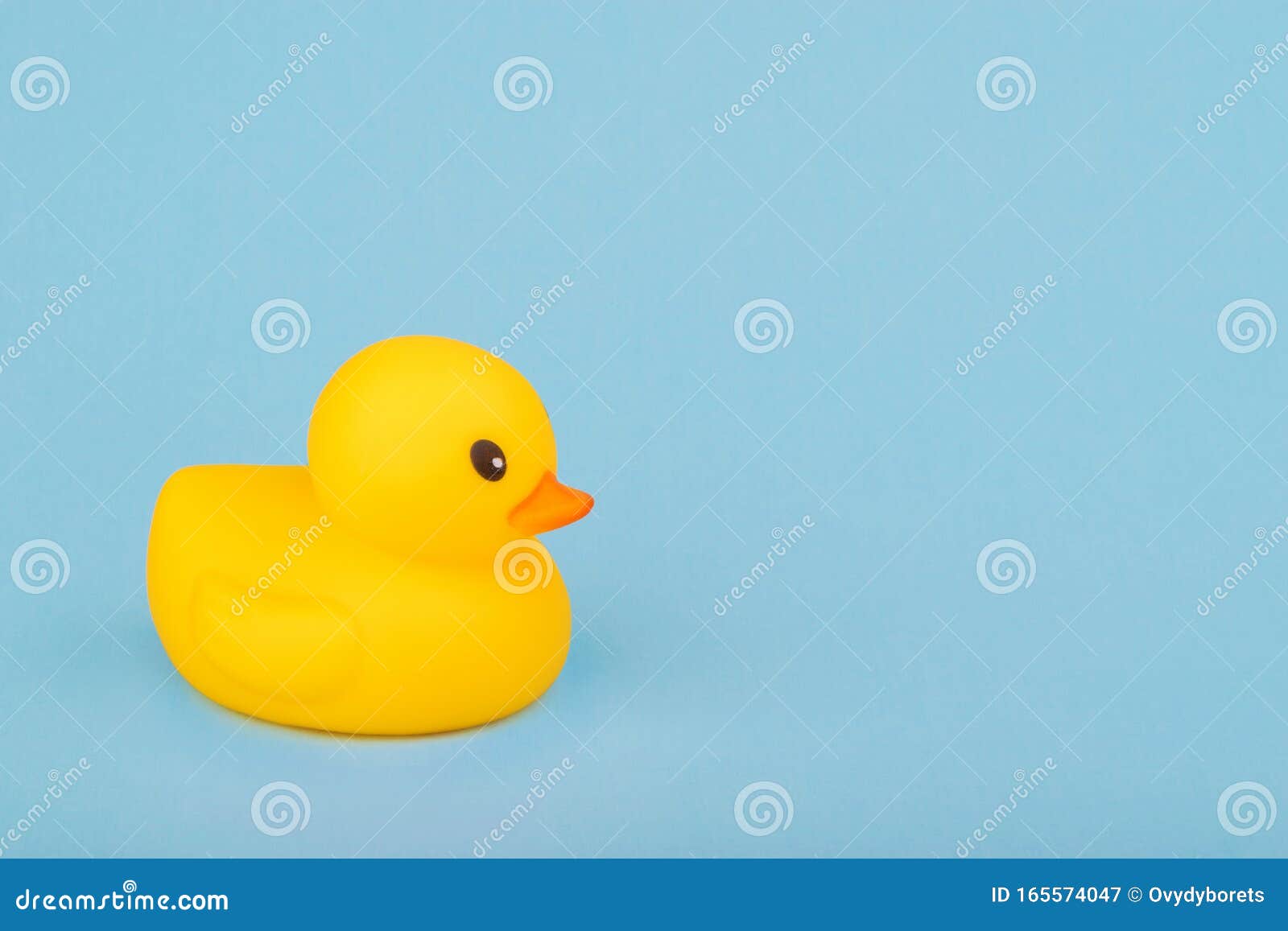 Bath Yellow Rubber Duck on Blue Background Stock Image Image of baby
