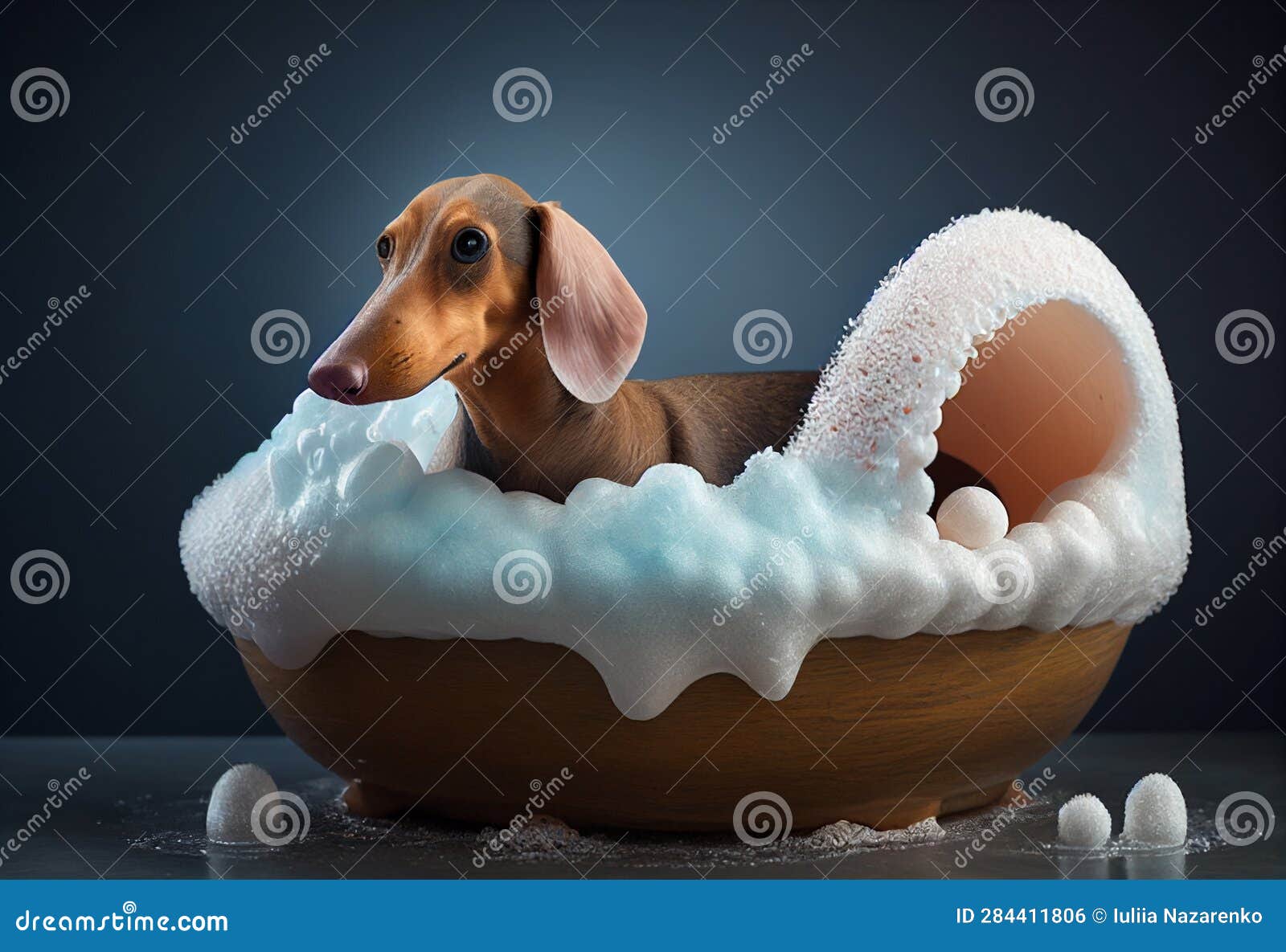 Bathing a Dachshund in a Van. AI Generated Stock Photo Image of