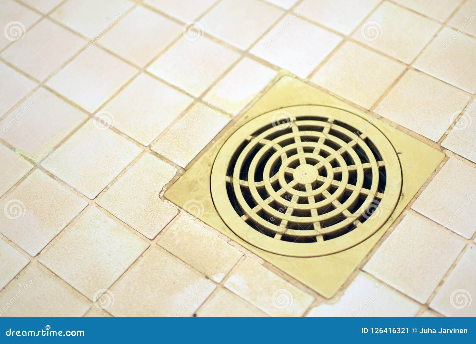 Bathroom Floor Drain With Hairy Strainer Stock Image Image Of