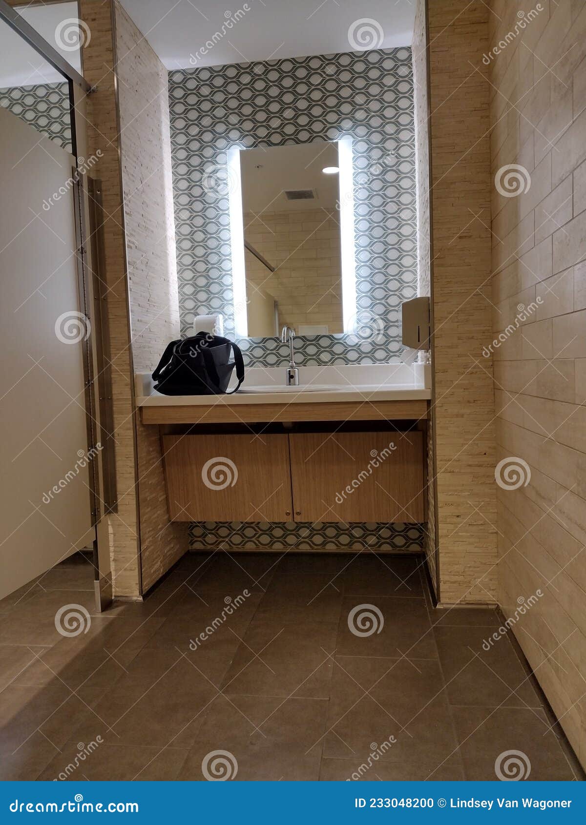 Bathroom handicap stall stock photo. Image of cottage 233048200