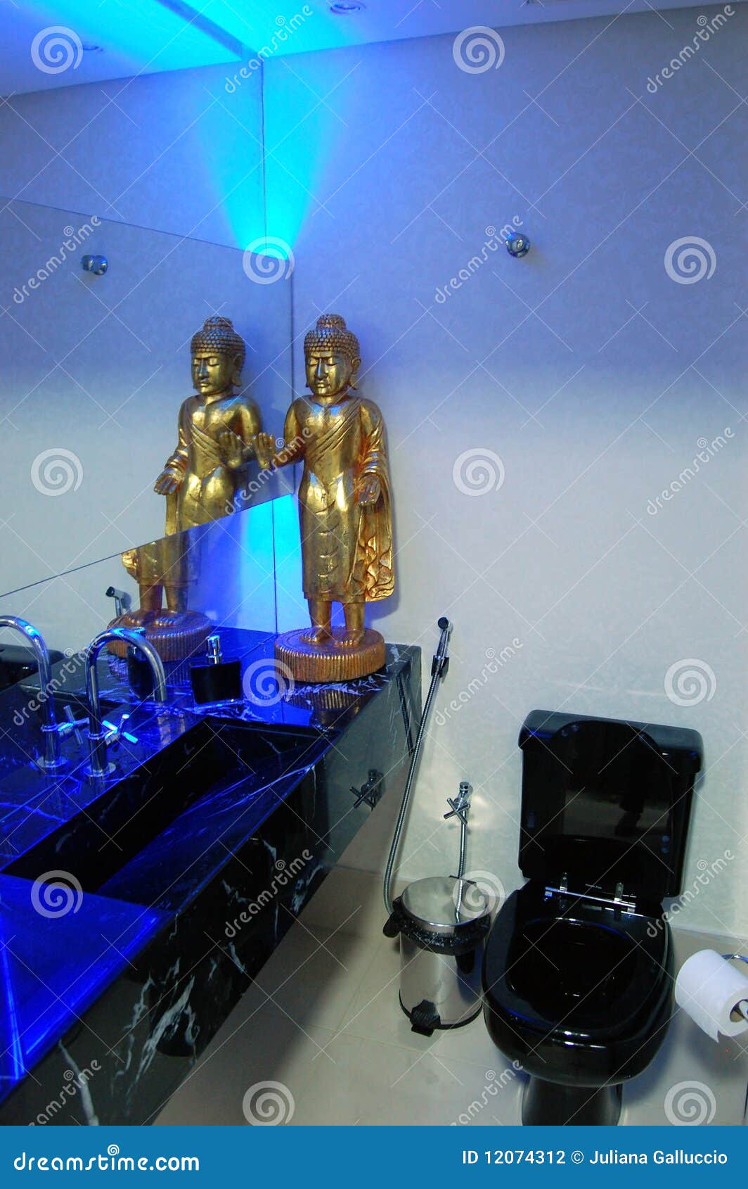 Bathroom interior stock photo. Image of statue, flooring 12074312