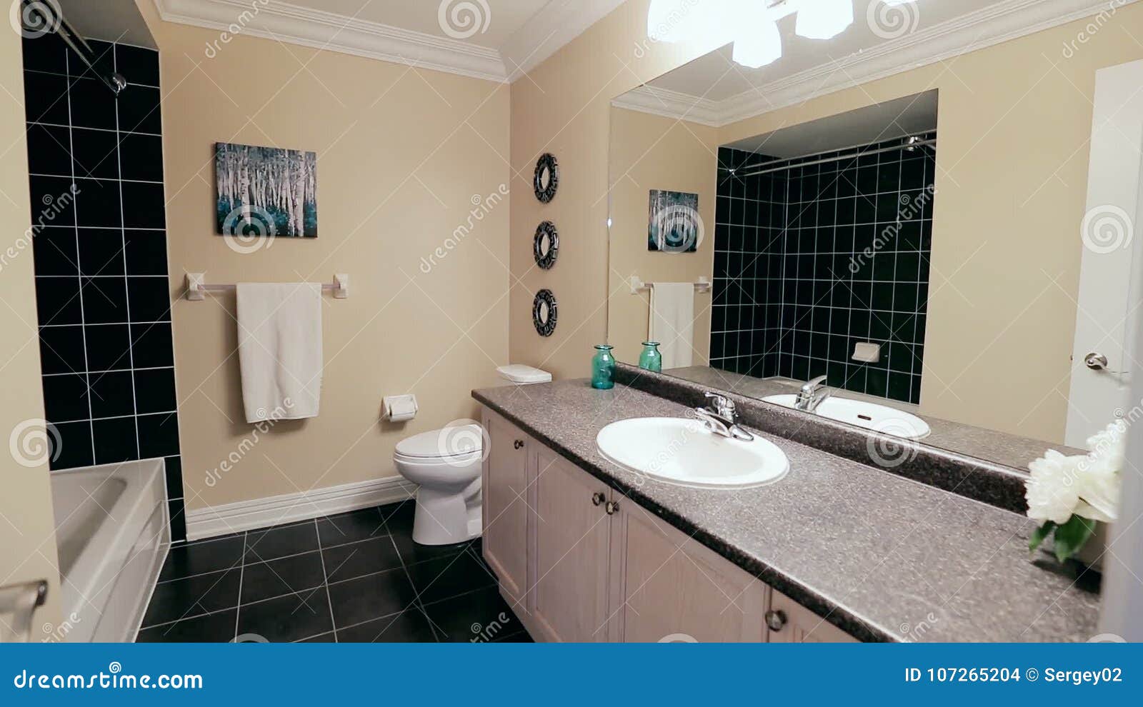 Dream Bathroom, Canada Edition