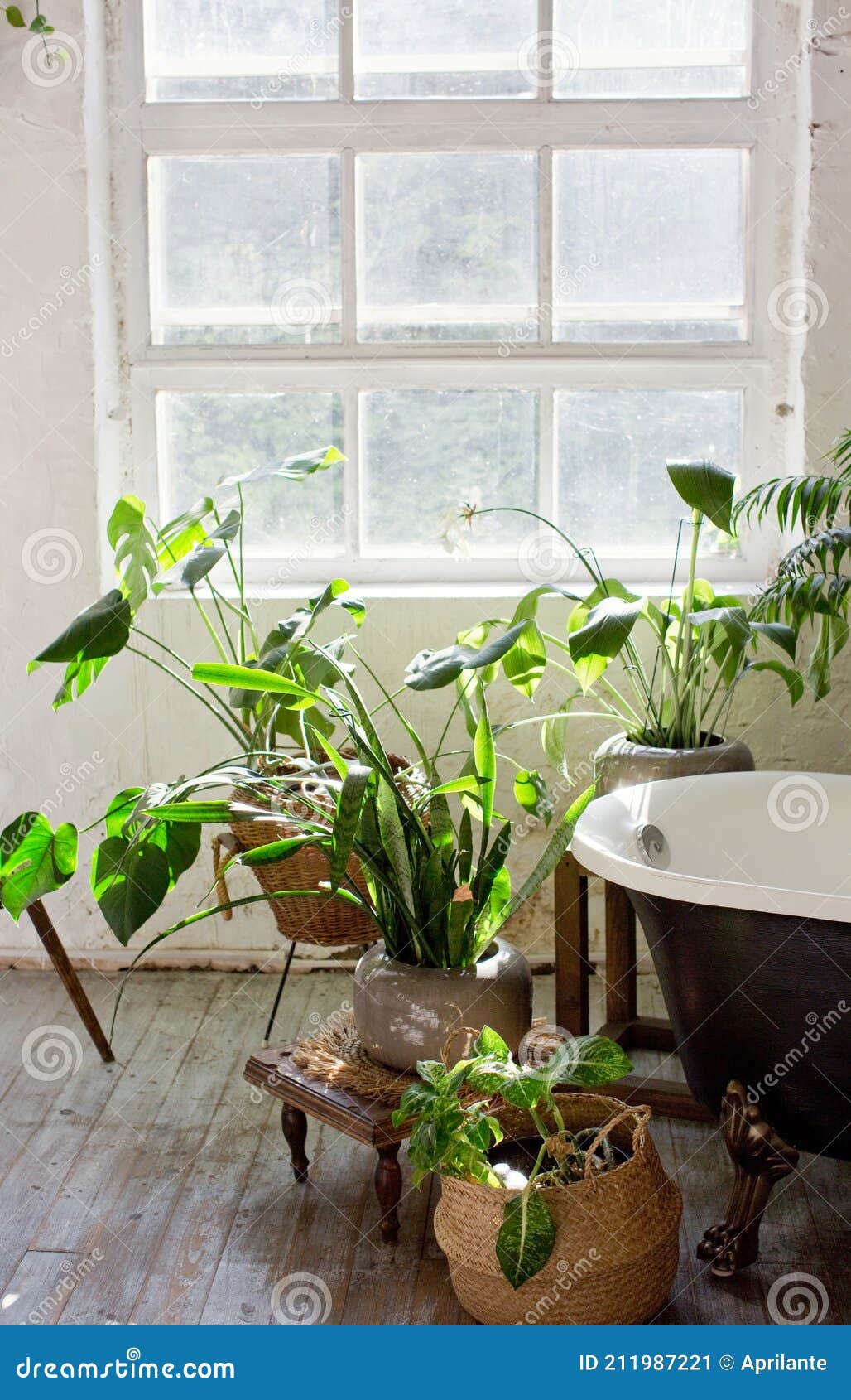 Bathroom Interior with Windows and Plants Stock Image Image of brick