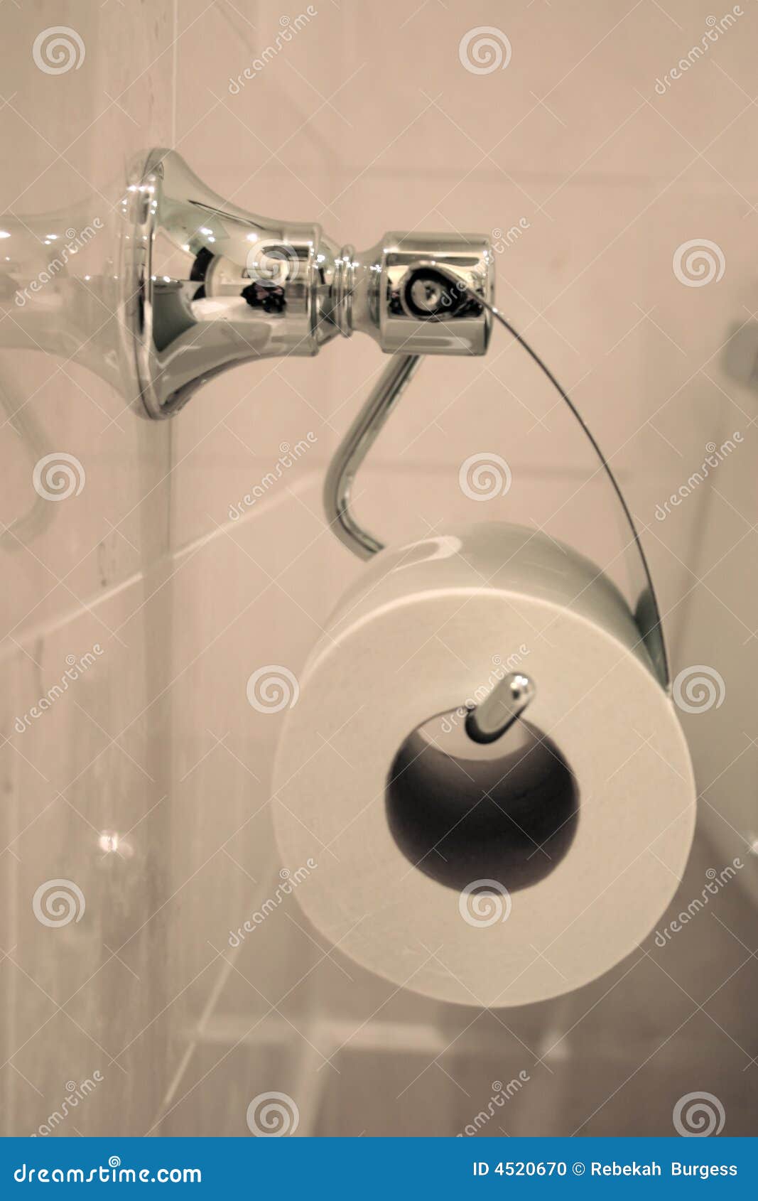 Bathroom Toilet Tissue stock photo. Image of absorbent 4520670