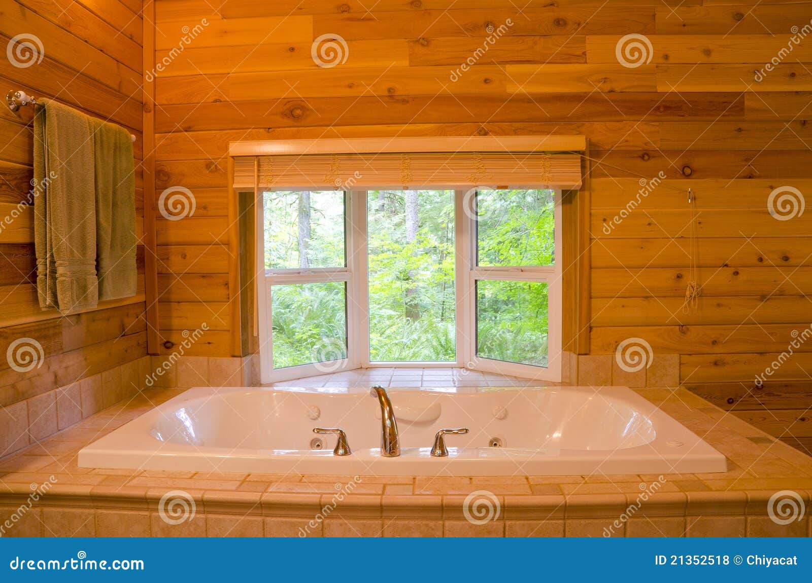 Bathroom in a Wood Cabin stock photo. Image of wood, bathroom 21352518