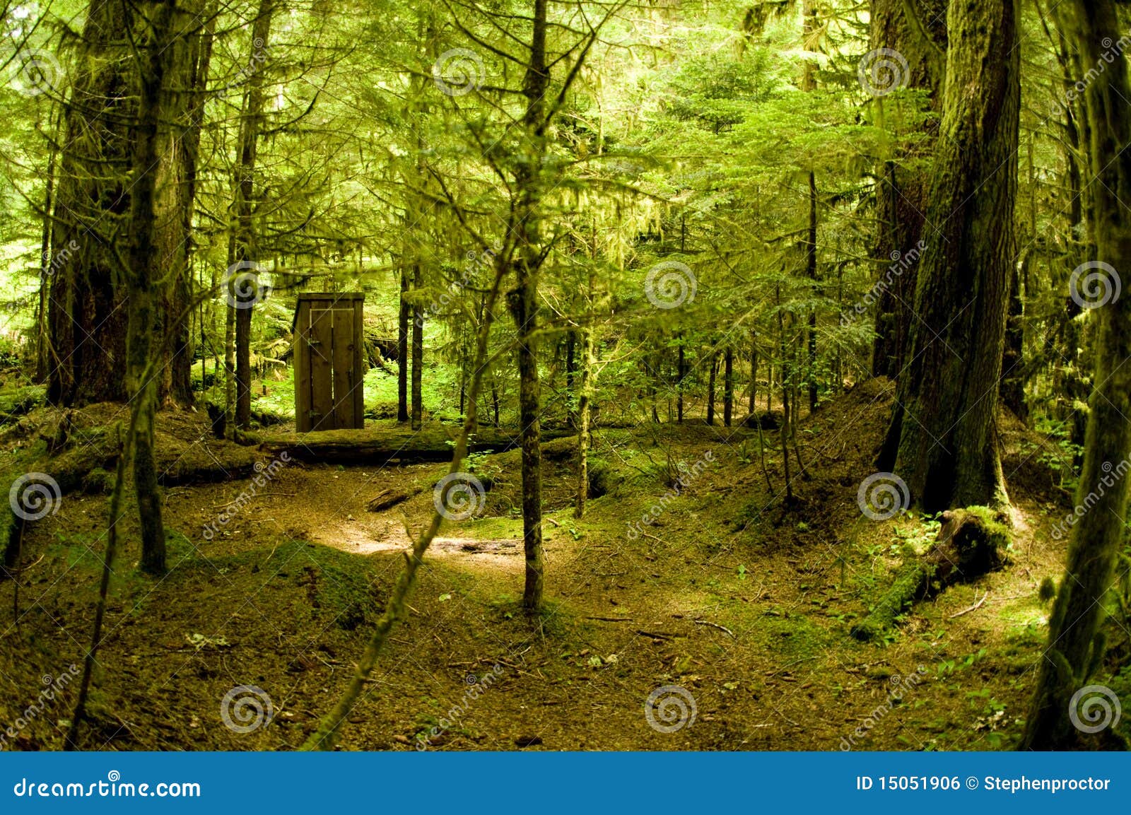 Bathroom in the Woods stock photo. Image of outhouse 15051906