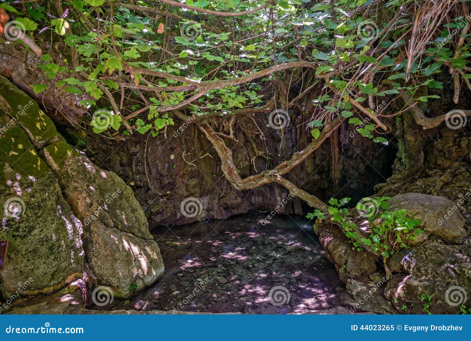 baths of aphrodite on cyprus