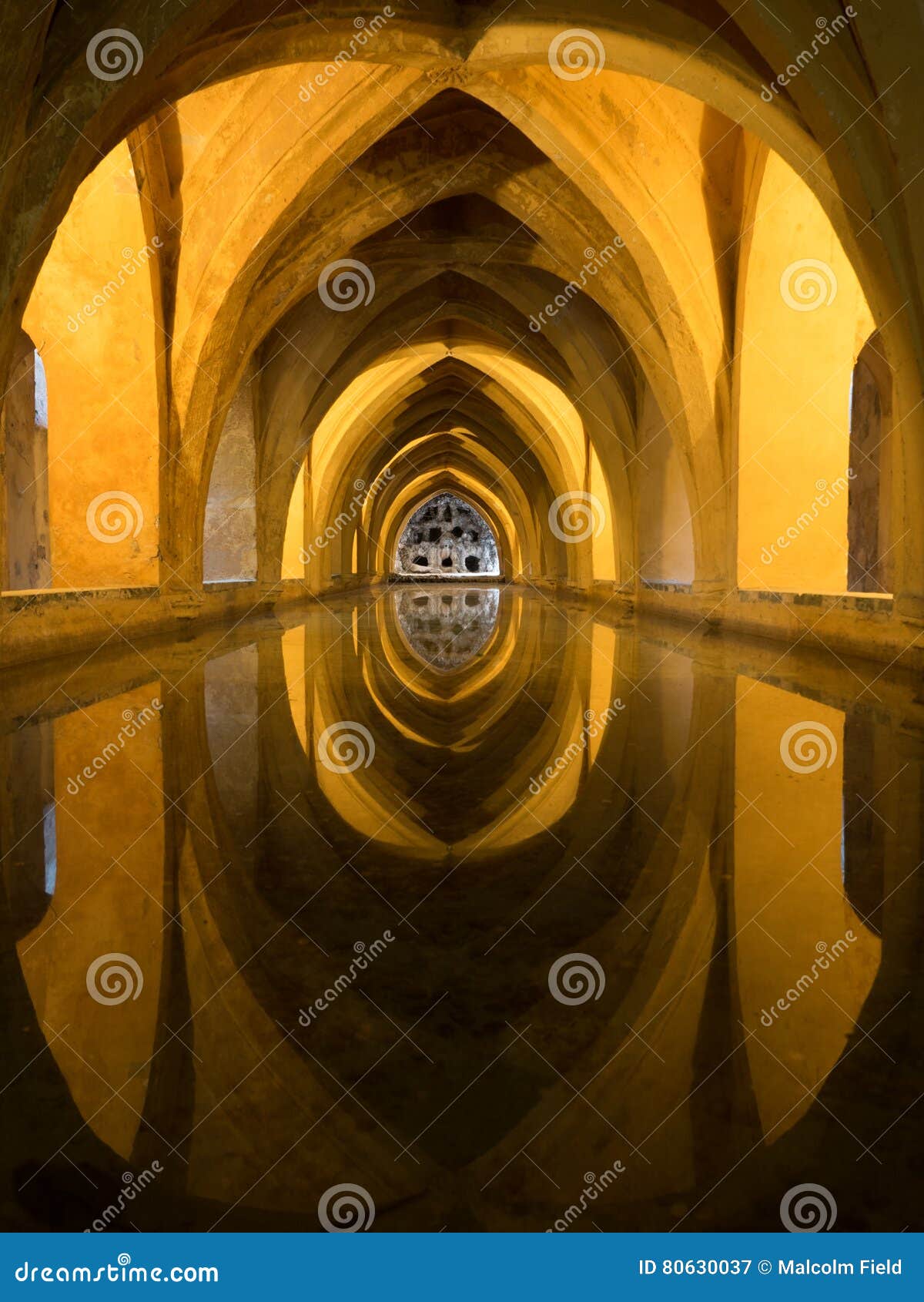 baths of maria de padilla, alcazar of seville