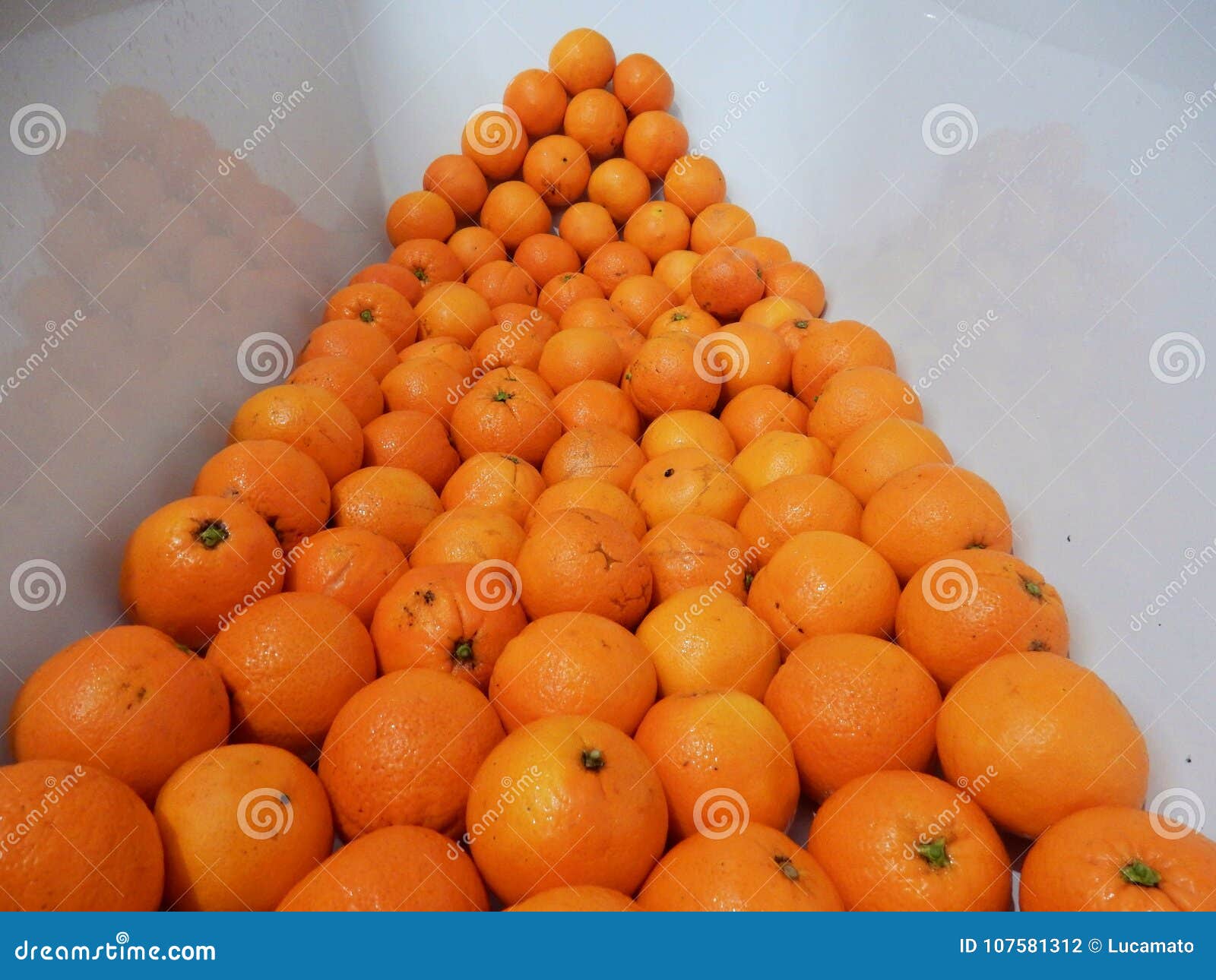 Bathtub full of oranges stock photo. Image of blonde 107581312