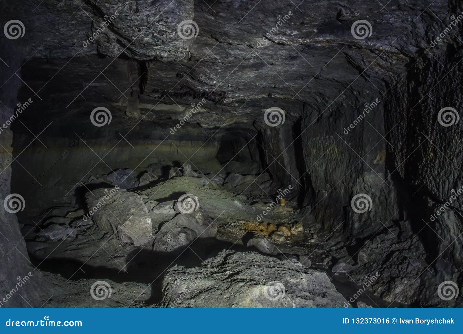 Bats in a cave stock photo. Image of wing, dark, hanging 132373016