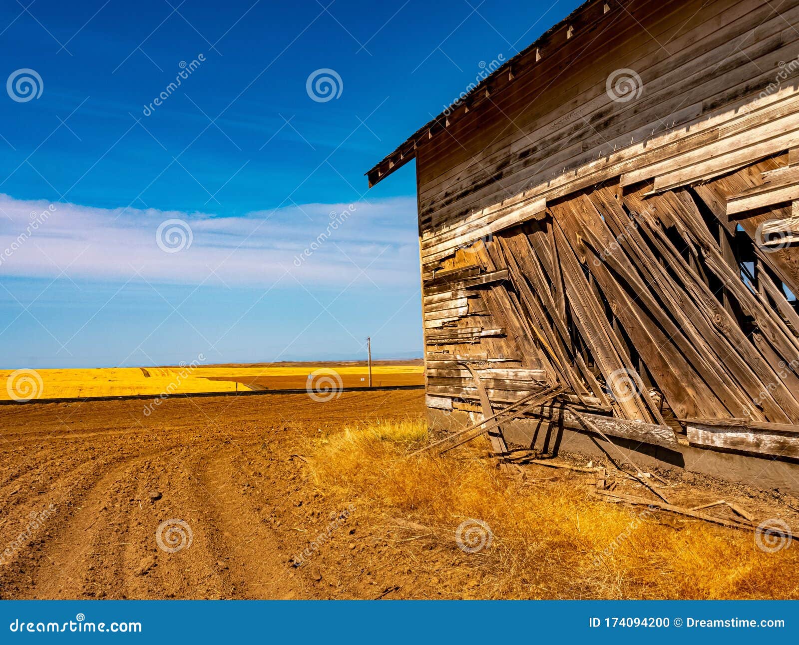 Battered Barn And Gold Stock Photo Image Of Road