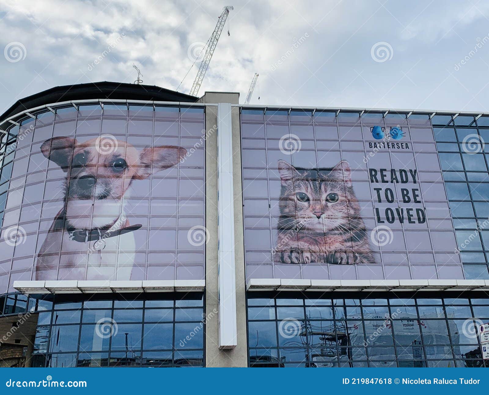 Battersea Dogs & Cats Home, Now Known As Battersea, is an Animal Rescue  Centre for Dogs and Cats. Editorial Stock Photo - Image of great,  affection: 219847618