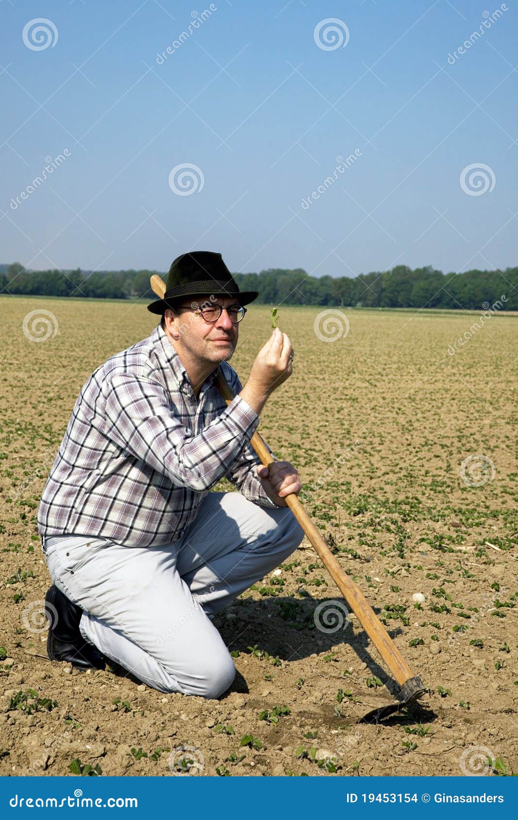 Bauer Ha Considerato Le Piante Nel Suo Campo Fotografia Stock