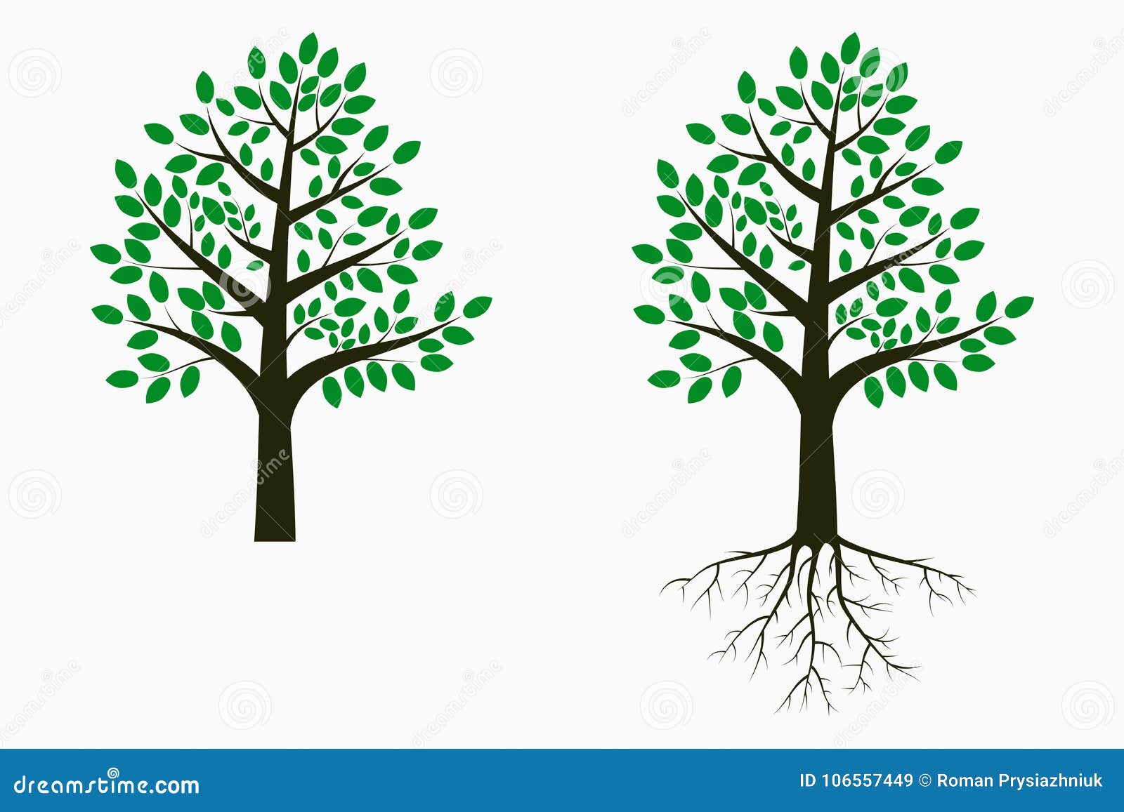 Baum Mit Blatt Und Wurzel Set Baume Vektor Vektor Abbildung Illustration Von Vektor Baum