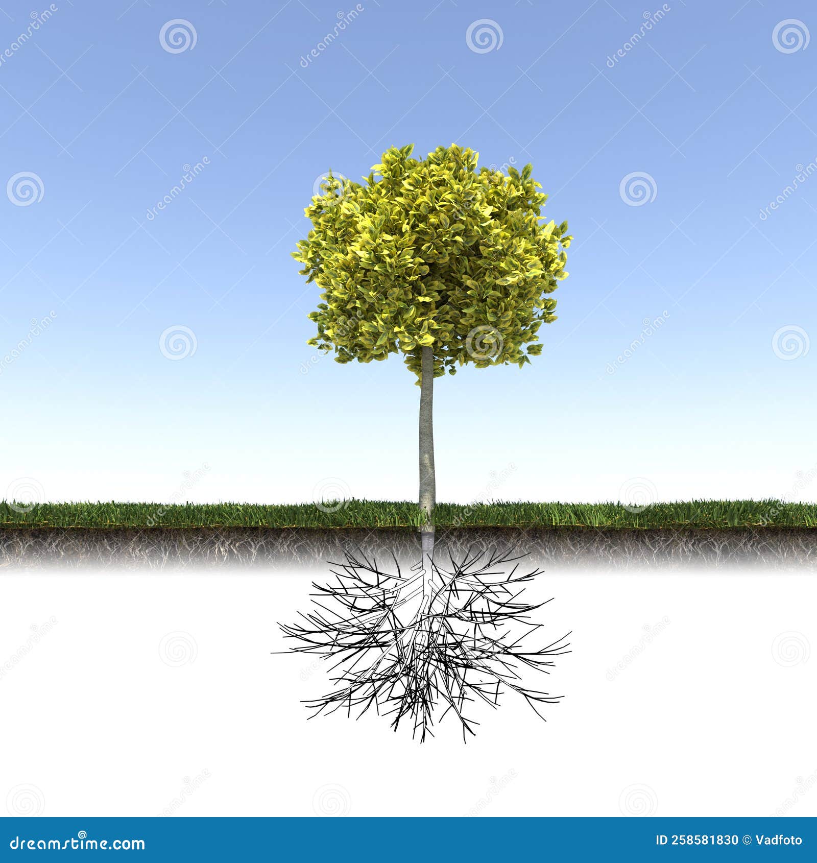 Baum Mit Starken Und Tiefen Wurzeln 3D Rendern Stock Abbildung