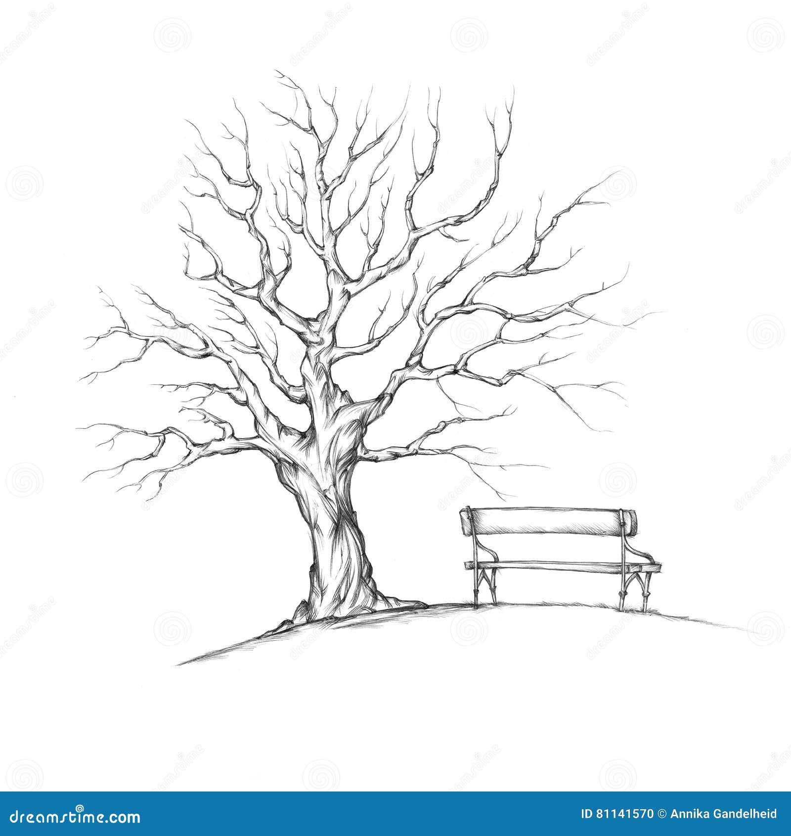 Baum Blätter Zeichnungen Baum Blätter Zeichnungen