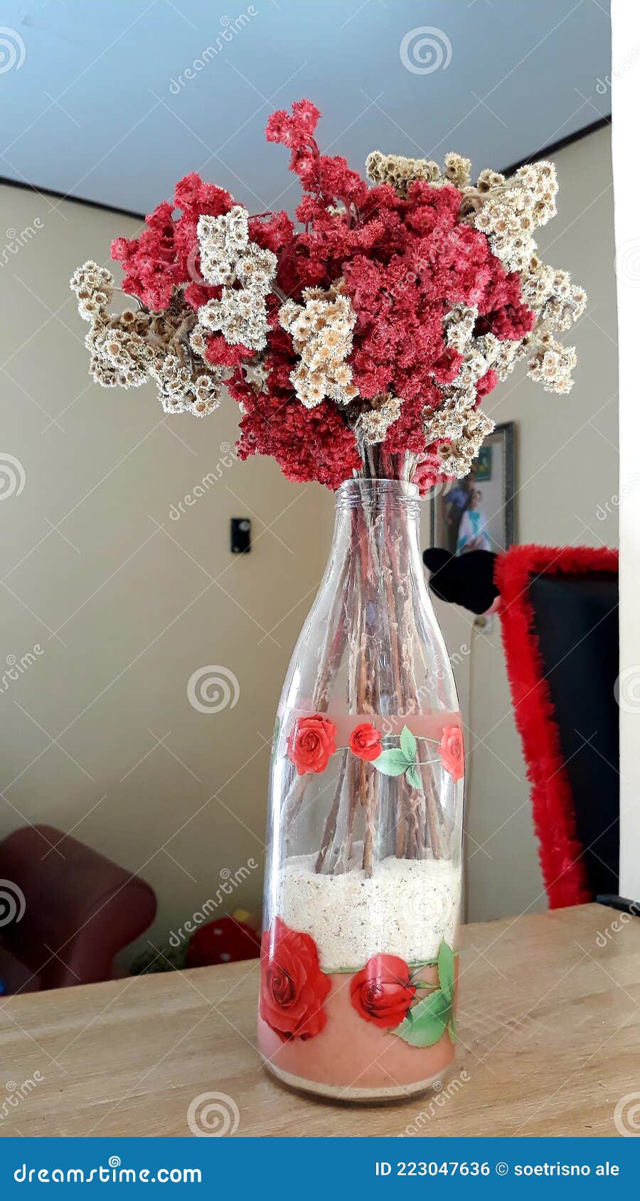 Bautiful Dried Edelweiss Flower Stock Photo Image of flower, petal