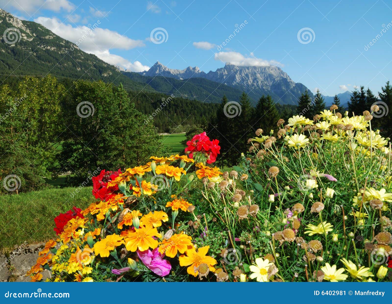Bavarian alps stock image. Image of hills, flowers, blossoms 6402981