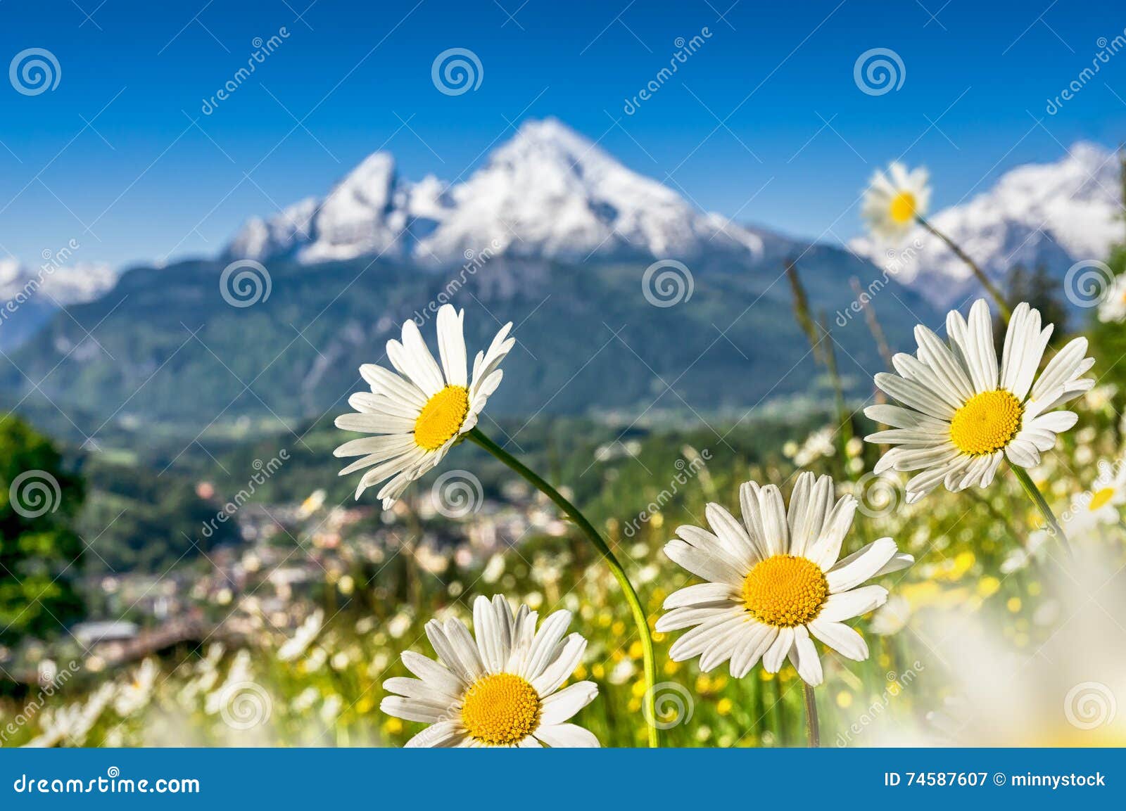 Bavarian Alps With Beautiful Flowers And Watzmann In Spring Germany