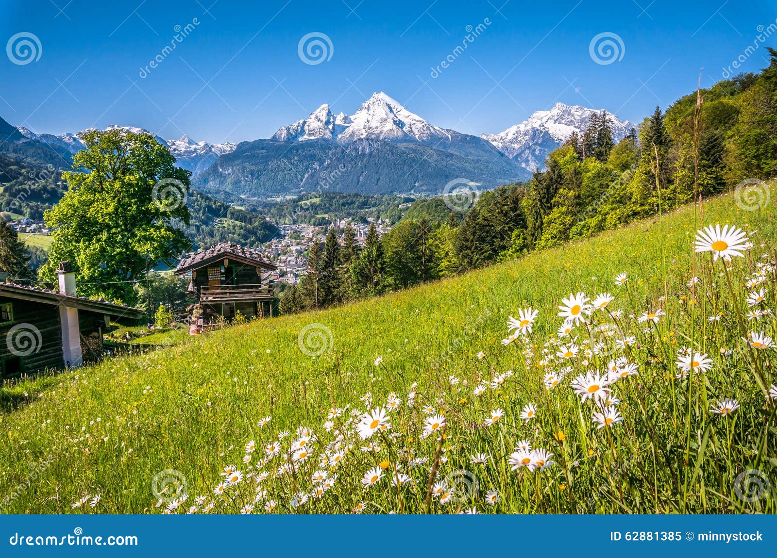 bavarian alps with beautiful flowers and watzmann in springtime, bavaria, germany