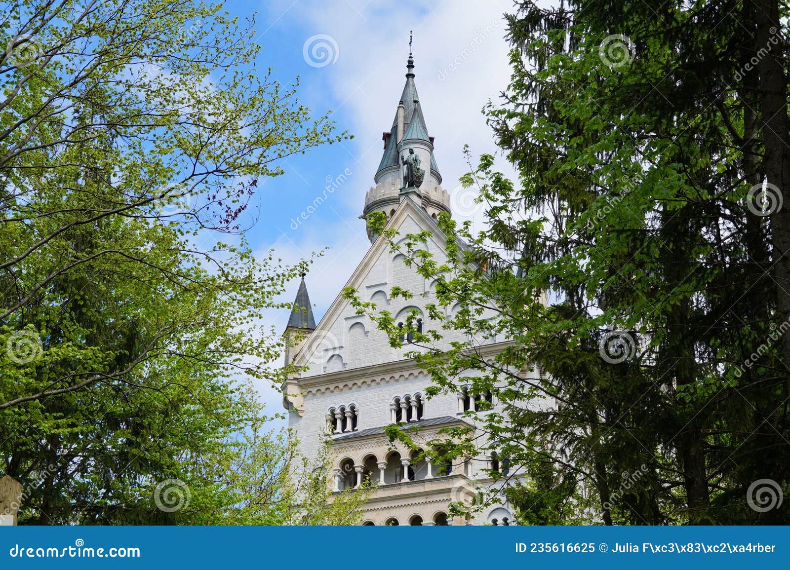 bavarian castle neuschwanstein in the alps (bavaria, germany)